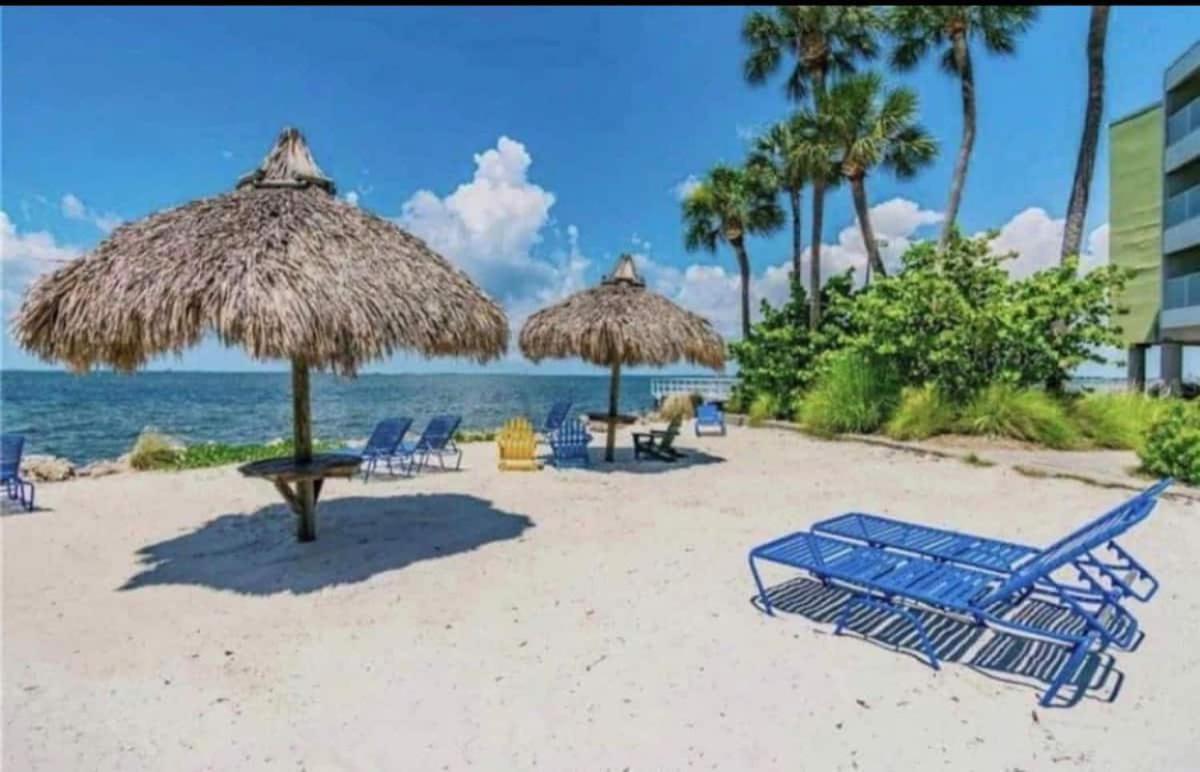 Amazing Waterfront Views Resort, Enjoy Heated Pool & Sunset! Tampa Kültér fotó