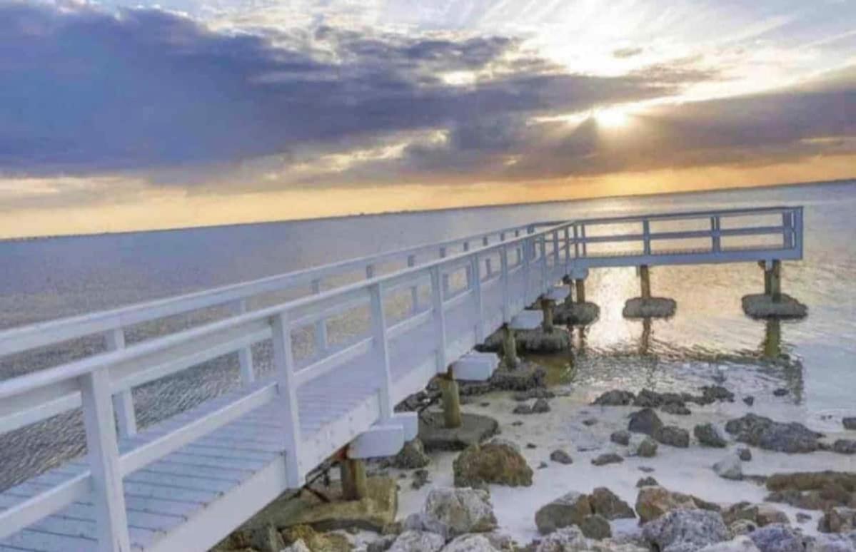 Amazing Waterfront Views Resort, Enjoy Heated Pool & Sunset! Tampa Kültér fotó