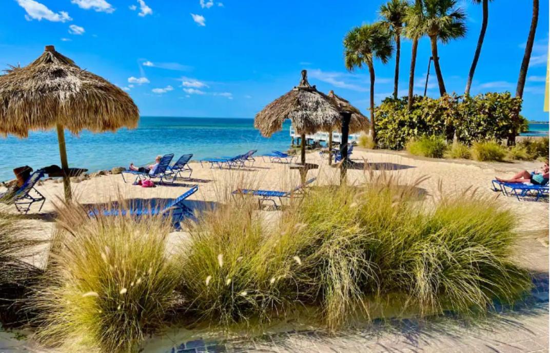 Amazing Waterfront Views Resort, Enjoy Heated Pool & Sunset! Tampa Kültér fotó